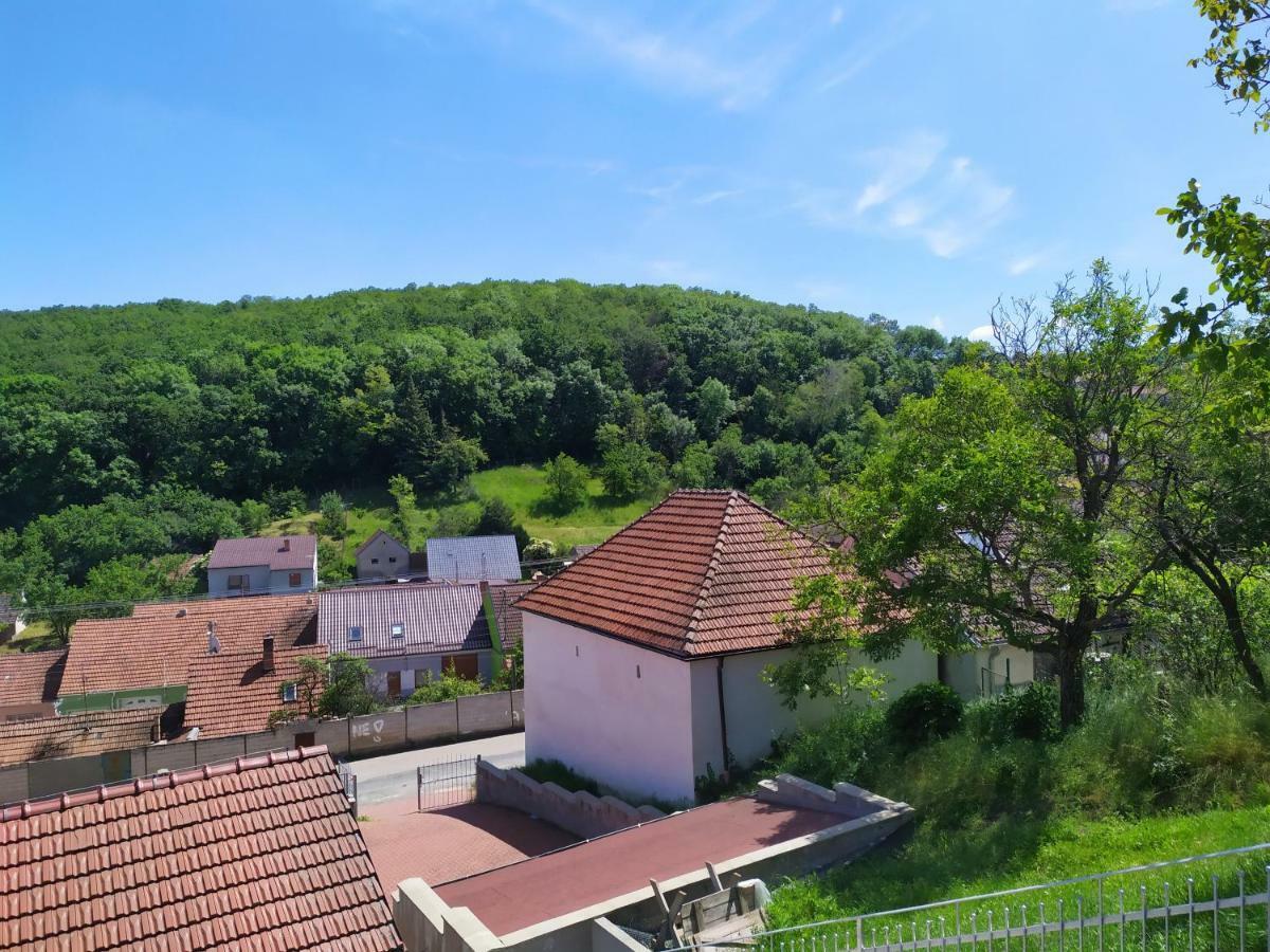 Apartment Koprivovi Němčičky Esterno foto